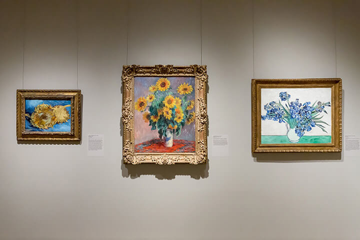Photo of Monet and Van Gogh's Sunflowers in Museum