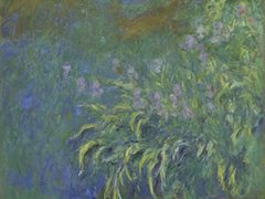 Irises by Claude Monet